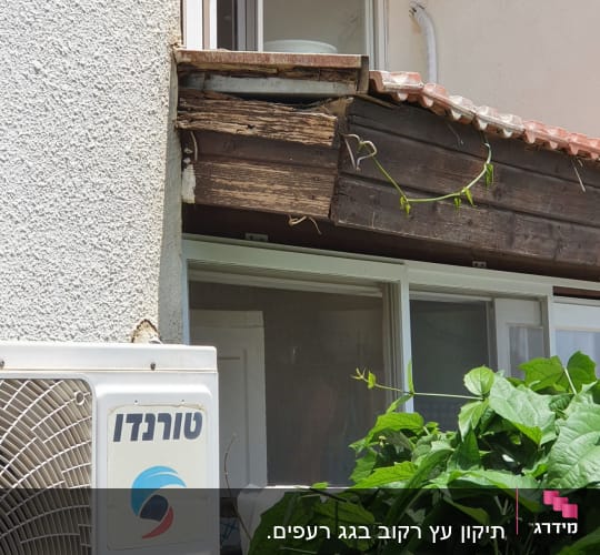 גג רעפים עם עץ חשוף וצמח מטפס